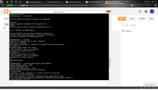 Run VNC server