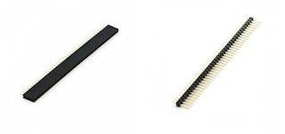 Berg Strip Female & Male