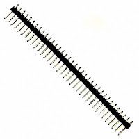 Berg Strip Male